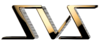 SvS