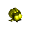 甲虫